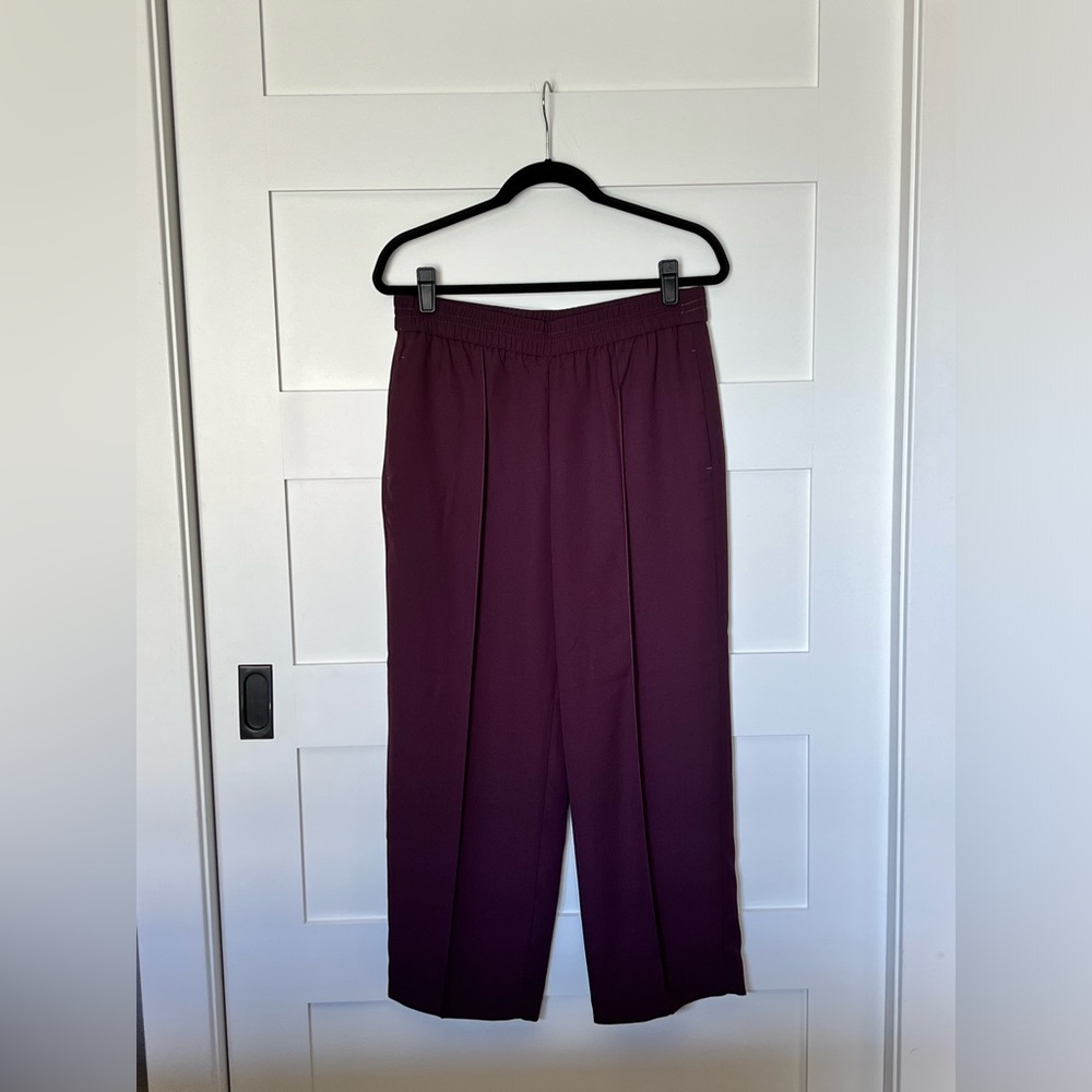 NWT Ann Taylor pull on pant